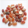 Carnelian Agate Stone Mineral Tumblestone Chakra Gemstones 