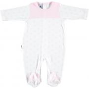 Wholesale Zany Ab.trasero Yoke Stars - Babid� - BDI-11114-2