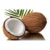 Coconut  wholesale