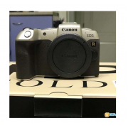 Wholesale Canon EOS RP Body Without Adapter  (Gold Limited Edition)