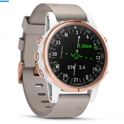 Wholesale Garmin D2 Delta S Aviator Watch (0100198731, EU)
