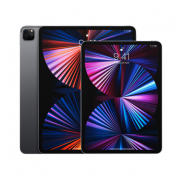 Wholesale Apple IPad Pro 11inch 2021 WiFi A2301 HK (128GB, Space Gray)