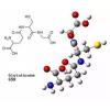 Glutathione (Cosmetic Raw Materials)