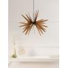 Wood Pendant Light Explosion