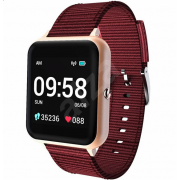 Wholesale Lenovo Watch S2 (Gold)