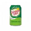 Canada Dry Ginger Ale Can 355ml