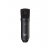 Tascam TM-80 Large-Diaphragm Cardioid Condenser Microphone