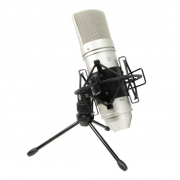 Wholesale Tascam TM-80 Large-Diaphragm Cardioid Condenser Microphone