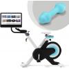 Freebeat Exercise Bikes