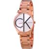 Calvin Klein K4N23X46 Ladies branded Watches