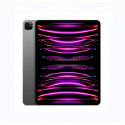 Wholesale Apple IPad Pro 6 12.9 Inch 5G 2022 (128GB, Space Gray)