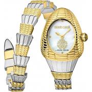 Wholesale Roberto Cavalli By Franck Muller RV1L149M0051 Womens Watches