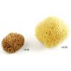 Natural Sea Sponges, Natural Loofas, Bubble Spa (Cotton) wholesale