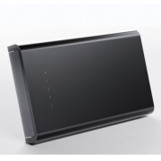 Wholesale Tesla SSD (1TB)