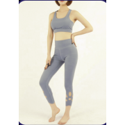 Wholesale Ladies Fashion Bra+leggings Set,  Seamless Sets 