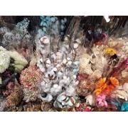 Wholesale Artificial Flwers  Home Decorate Use