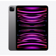 Wholesale Apple IPad Pro 11 Inch 2022 5G (512GB, Space Gray)