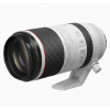 Canon RF 100-500mm F/4.5-7.1L IS USM Lens