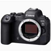 Wholesale Canon EOS R6 Mark II Body