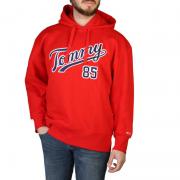 Wholesale Tommy Hilfiger DM0DM15711_XNL Long Sleeve Sweaters