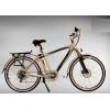 Electric Bicycles wholesale