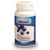 Wild Blueberry Juice Concentrate