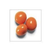 Wholesale Chocolate Covered Dried Apricots