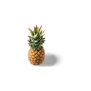 Wholesale Pineapple Salsa