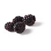 Blackberry Jam wholesale