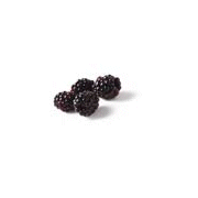 Wholesale Blackberry Syrup