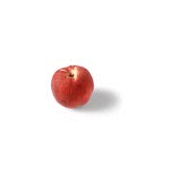 Wholesale Peach Syrup