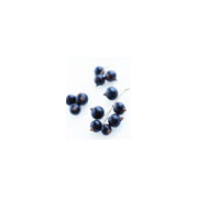 Wholesale Blueberry Lavender