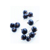 Blueberry Lavender wholesale