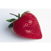 Wholesale Strawberry Basil Preserve
