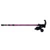 Alpenstock Walking Sticks 1 wholesale