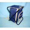 Picnic Sports Backpack Bags wholesale