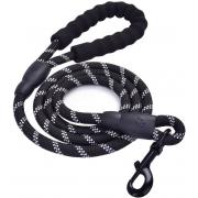 Looking To Buy Reflective Pope Dog Leads