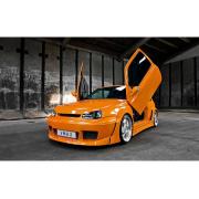 Looking For Suppliers Of European Car Styling/Improvement (Denmark)