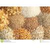 Looking To Buy Rice, Wheat, Beans, Wheat Flour, Maize (Togo)