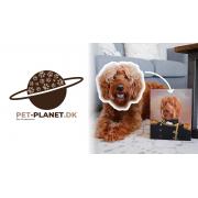 Looking For Dropshipping Suppliers Of Pet Accessories (Denmark)