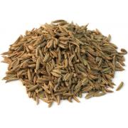 Want to Sell Caraway Seeds