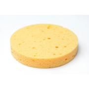 Looking to Buy Sponges
