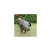 Buy Unusual garden related products