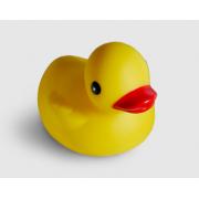 Buy Rubber Ducks