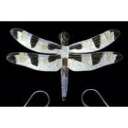 Buy Sterling Silver & Cloisonne Brooches (United States)