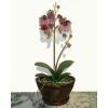 Buy Artificial Plants And Trees