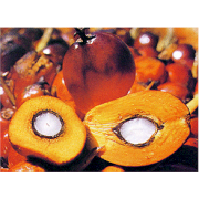 Buy Palm Oils (Austria)