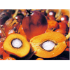 Buy Palm Oils (Austria)