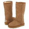 Looking To Buy Ugg Boots