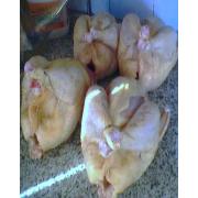 Looking To Buy Meat